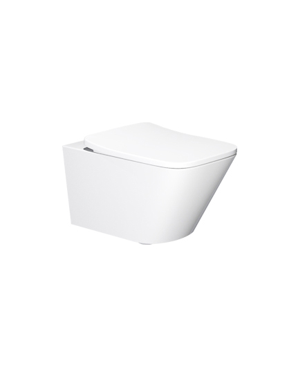 挂墙坐便器 AB2182H