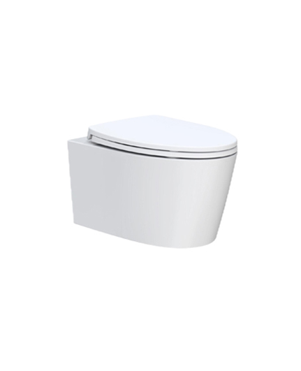 挂墙坐便器AB21002H